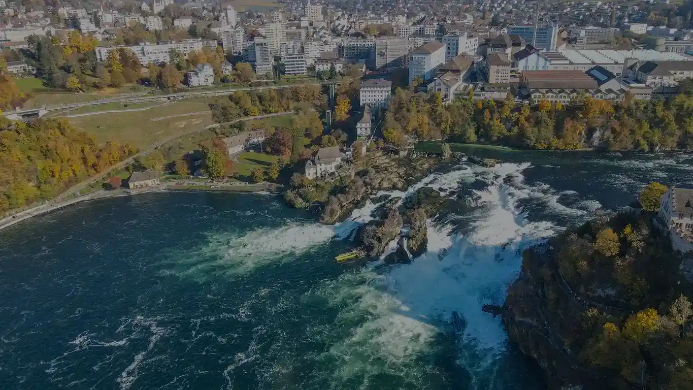 -Carbon Market Dialogue